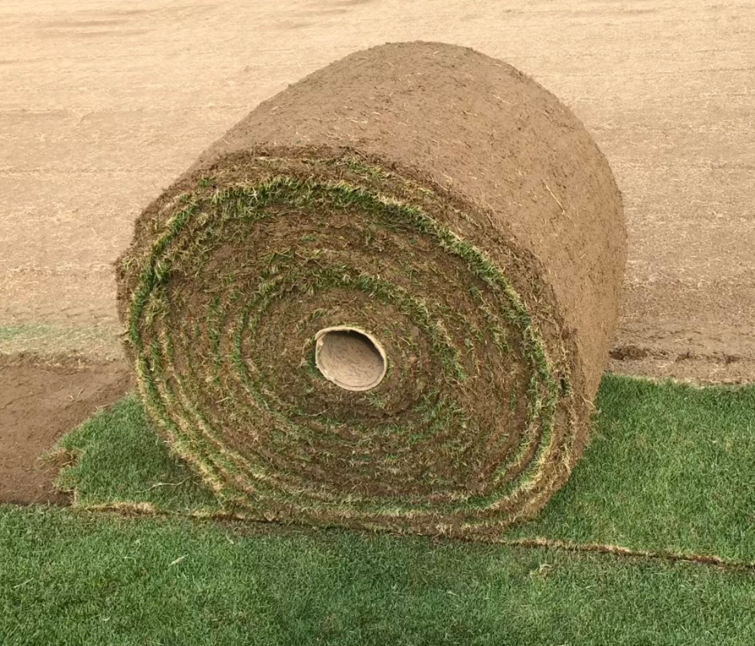 Bermuda 419 Mega Roll sod cylinder covering 350 square feet for fast large-scale lawn installations in Georgia